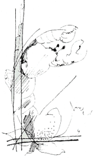 Vanda Oliva, Astice, 1991