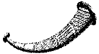 Olifante